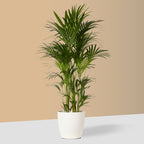 Flow Plant Pot in White