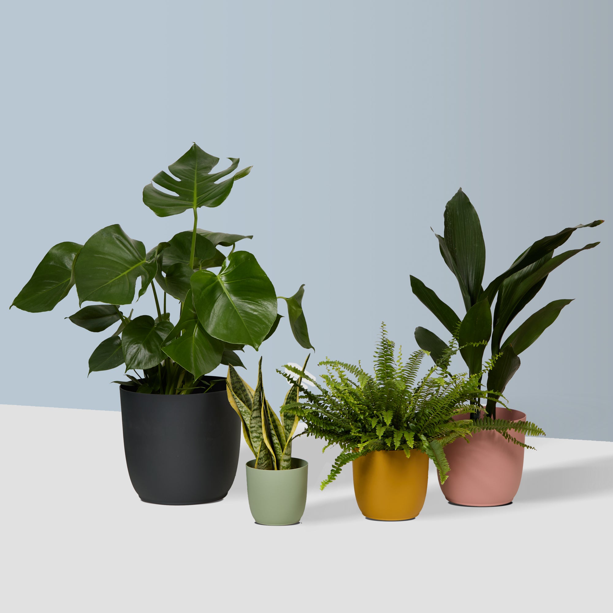 Small plants - Bundle Builder