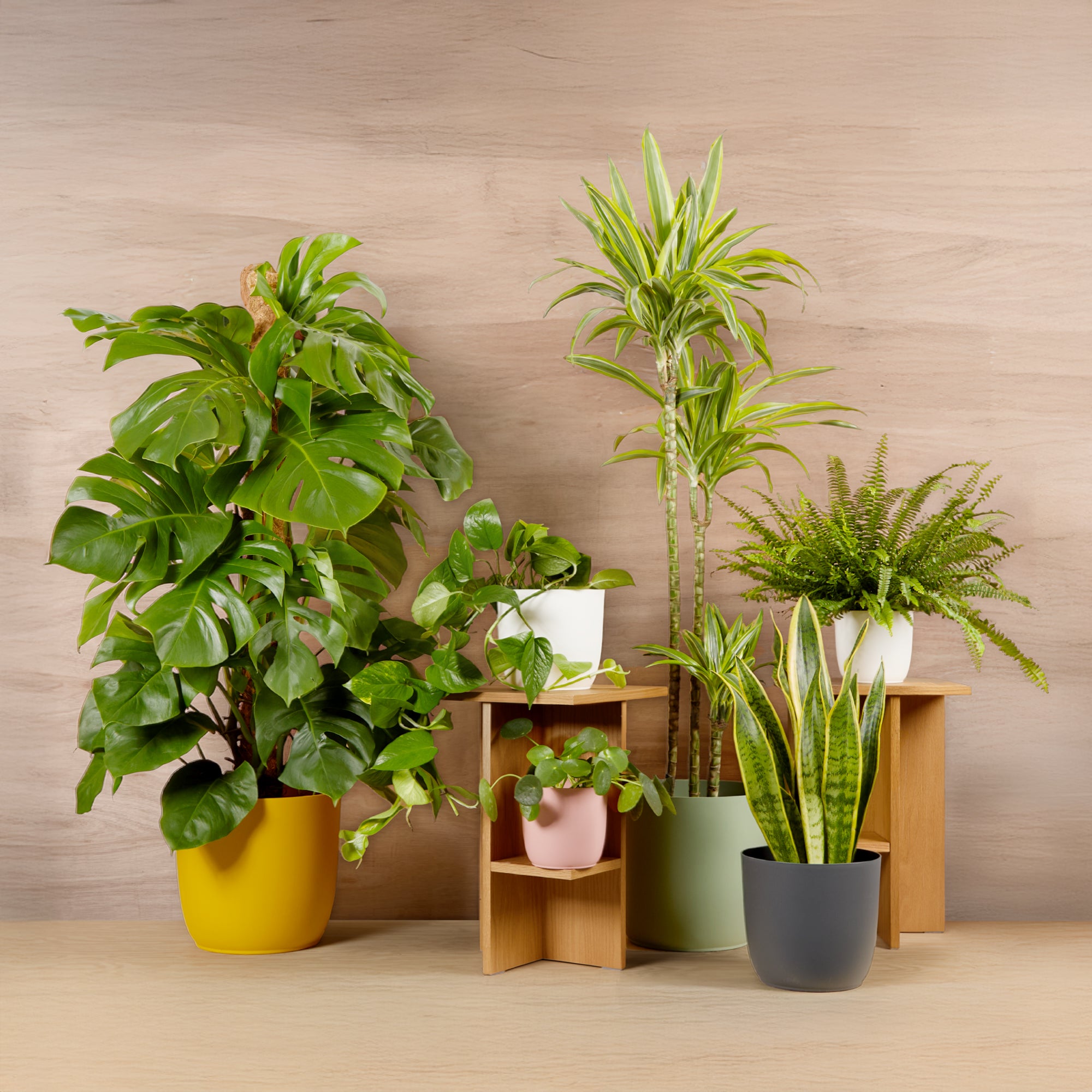 All plants - Bundle Builder