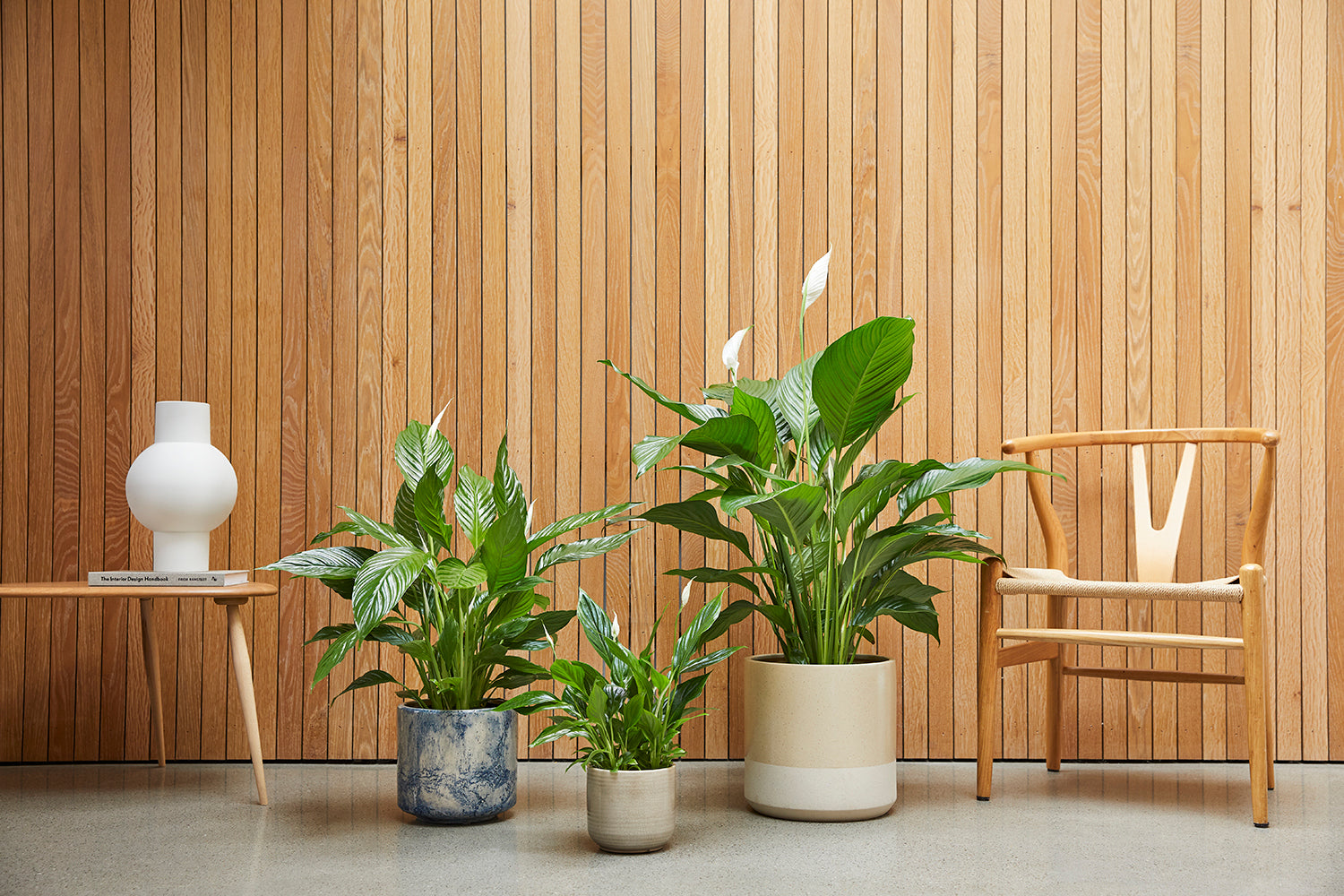 Test Plant 1
